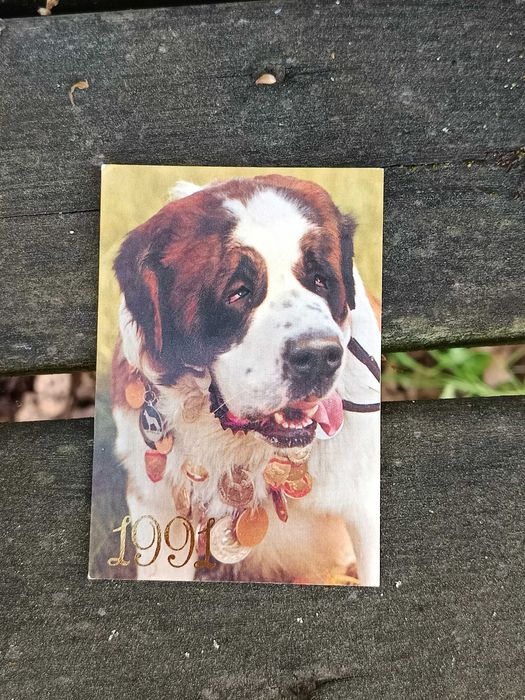 Calendários Soviéticos (URSS) - Ano de 1991