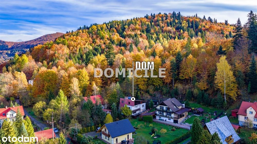 Dom w górach otoczony lasem