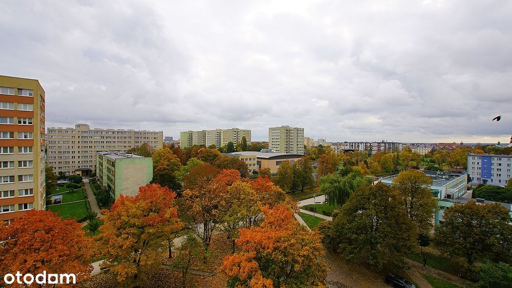 4pokoje z widokiem na panoramę Płocka