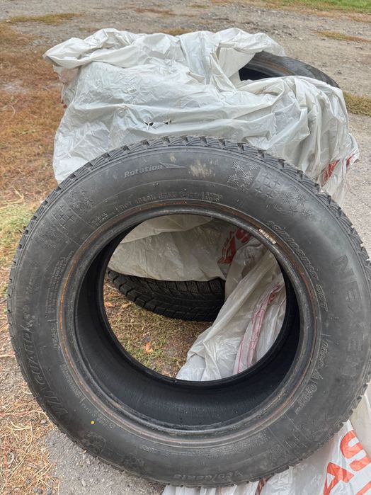 Зимові шини Nexen winguard ice plus 195/65 r15