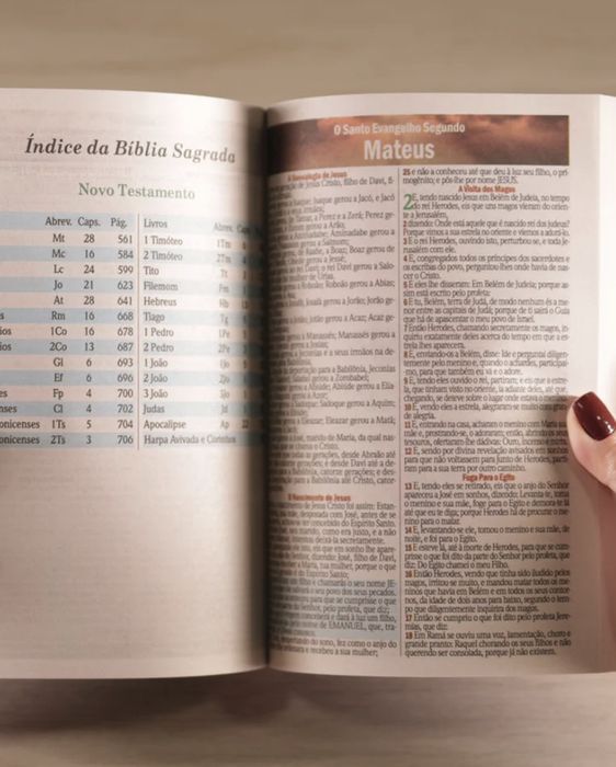 Bíblia Sagrada Leão NOVA | ARC | Letra Maior