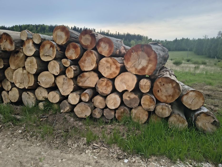 Drewno kominkowe opałowe Buk