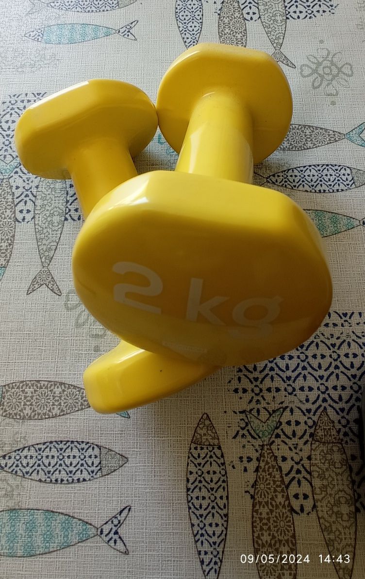 Halteres de fitness/pilates 2 kg