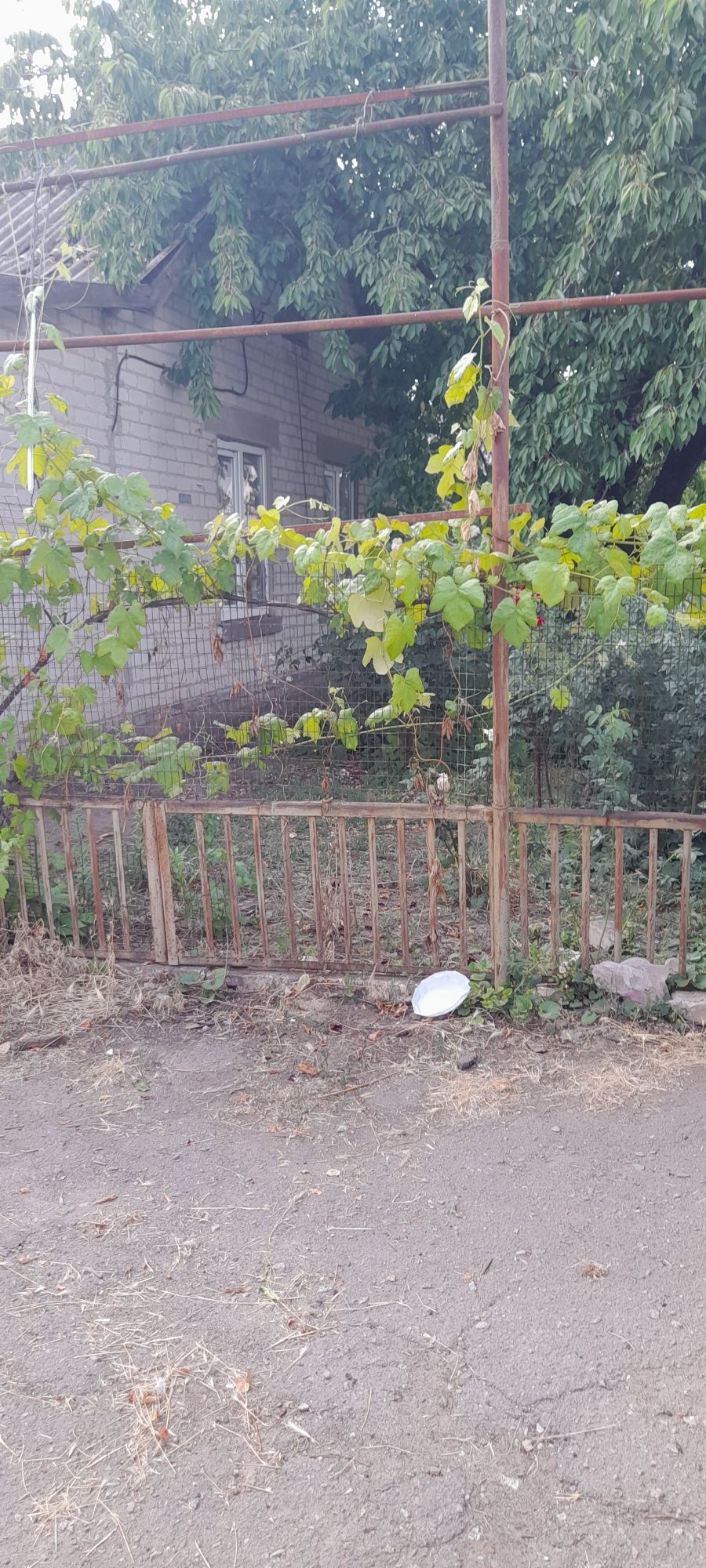 Дім у Відрадному