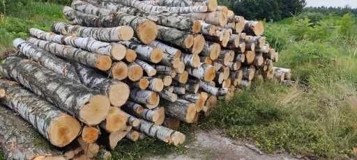 Drewno kominkowe, opałowe, zrzyna buk, dąb, brzoza, sosna