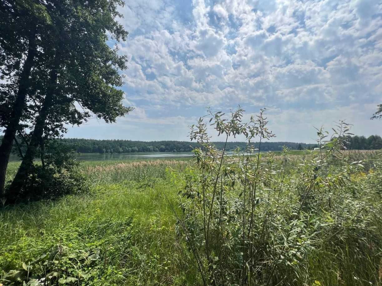 Продаж ділянки 3,11га (ОСГ). Поруч каскад озер.Фастівський р-н. ID:446