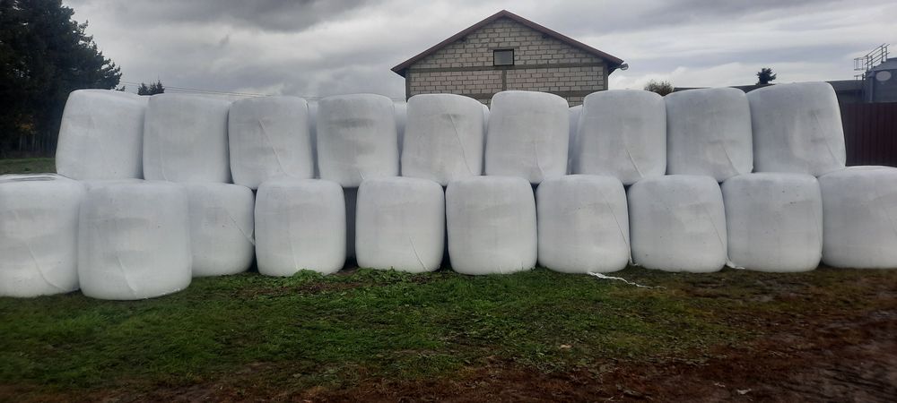 Baloty z wyslodkami wyslodki 60 sztuk