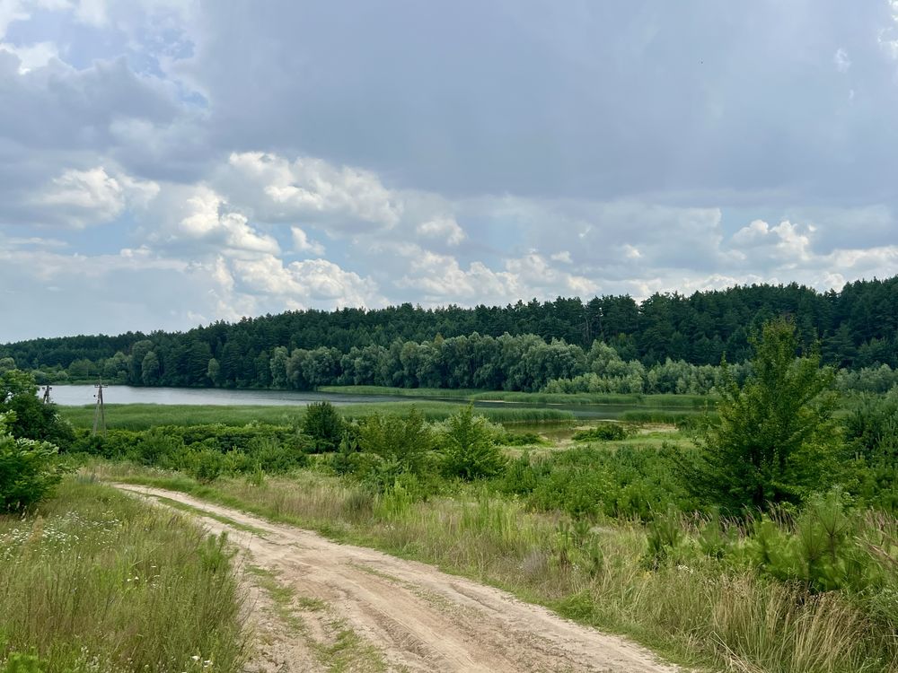 Продам 6 га Лісу, поруч озеро, електромережа