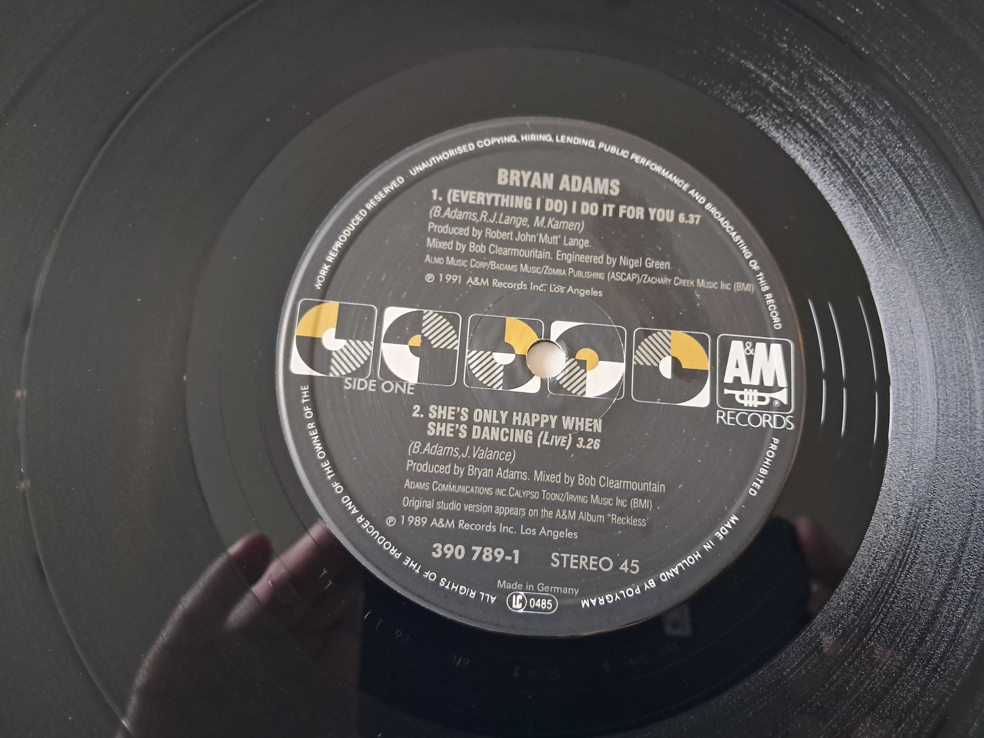 Bryan Adams  (Everything I Do) I Do It For You   WINYL  (12'')