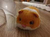 Chomik w kuli Pets Alive