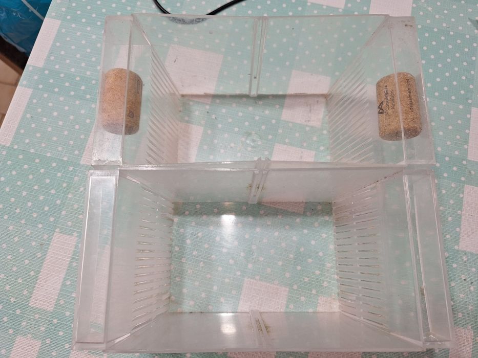 Maternidade para aquário