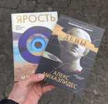 Безмолвный пациент/Девы/Ярость Алекс Михаэлидес Книга.