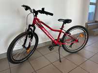 Rower Kross hexagon 1 MTB