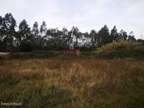 Terreno para Construção 2.975m2, Oliveira de Azeméis