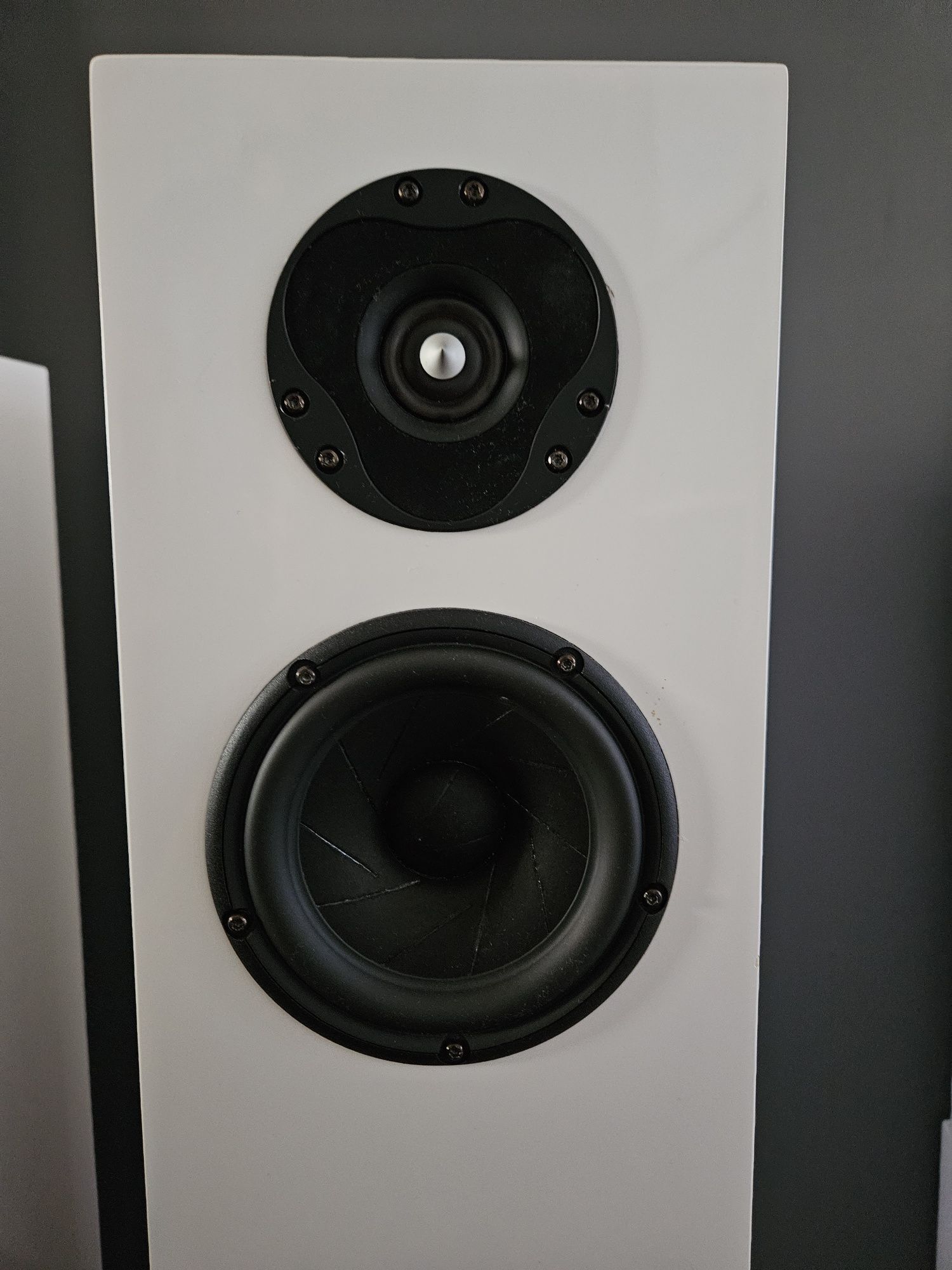 Kolumny Scan Speak + SB Acoustics