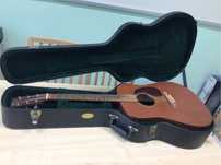 Martin D-15 + elektronika i preamp K&K