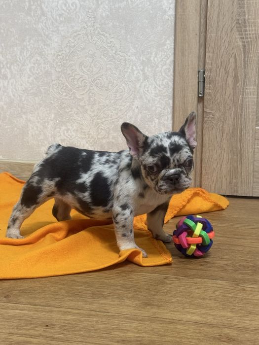 Дуже гарна міні дівчинка