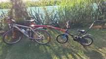 Hol rowerowy, dyszel, Trial Gator