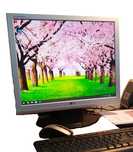 Monitor LG Flatron L1917S-SN