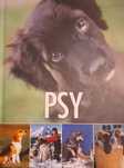 PSY album ilustrowany
