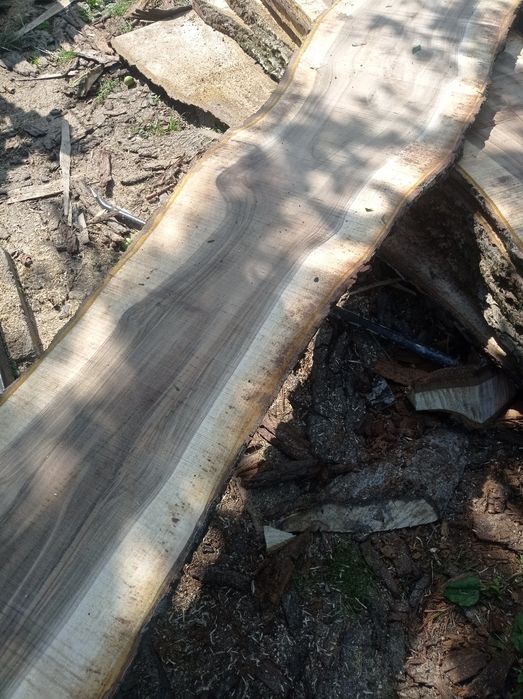 Дошка горіха грецького