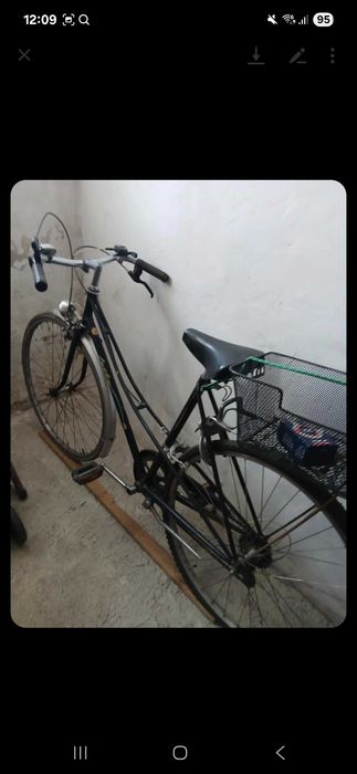 Rower damka z koszyliem