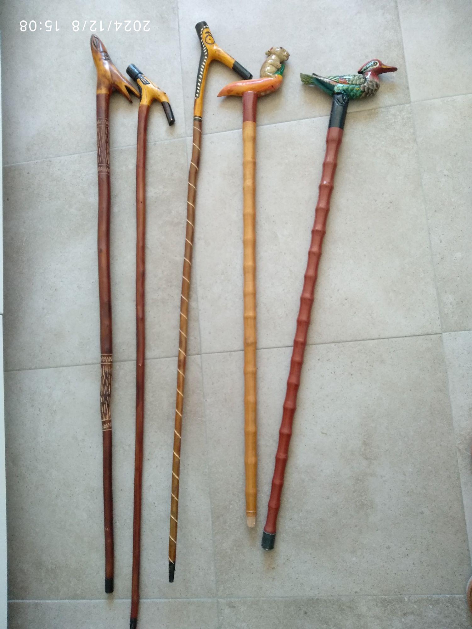 Coleção de bengalas