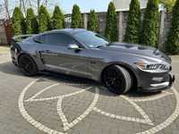 Ford Mustang Mustang GT whipple Supercharger, zamiana