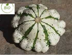 vendo sementes de Abobora patisson raiada