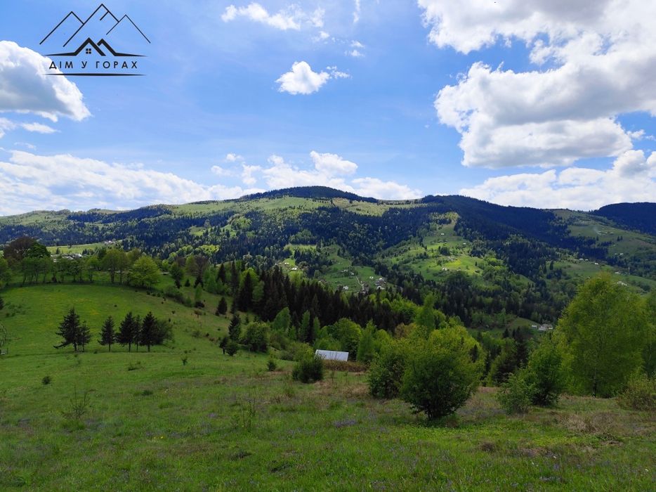 Продаж ділянки 9 га в Карпатах с. Яворів, Косівського району