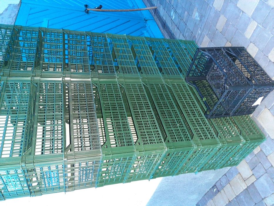 Ящики 200шт.,бананові ящики