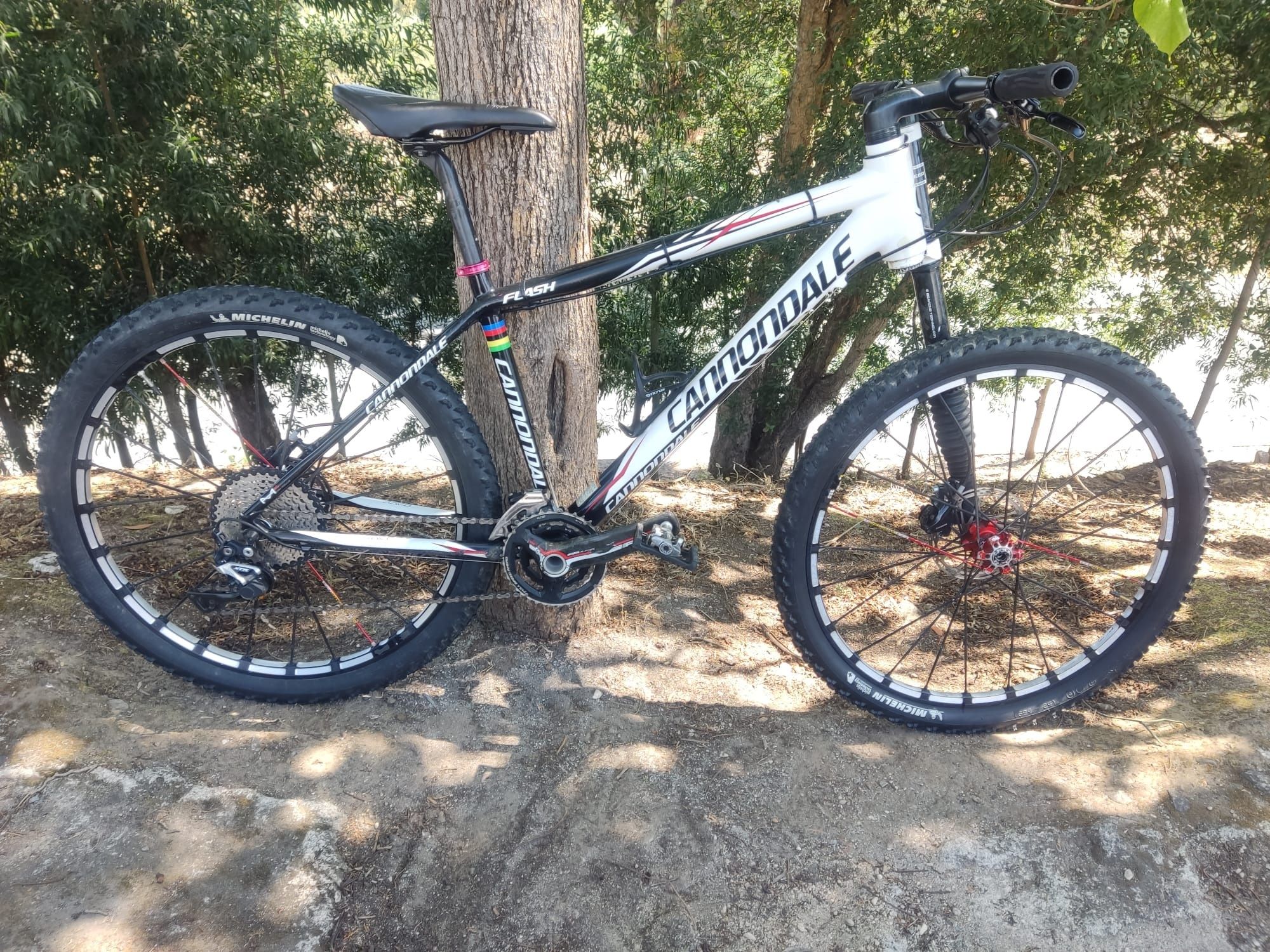 Cannondale carbono lefty e rodas slr