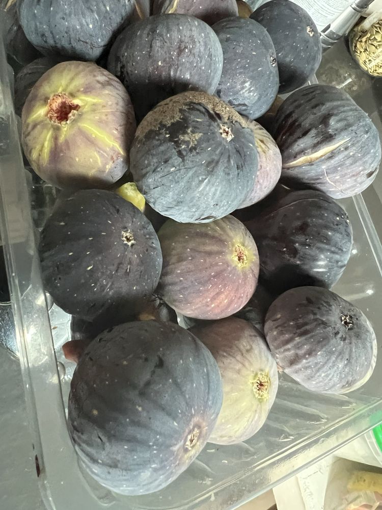 Figos pingo de mel