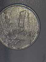 Moneta 1 grosz 1949