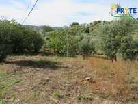 Terreno para construção com área de 2750 m2 perto da Sertã
