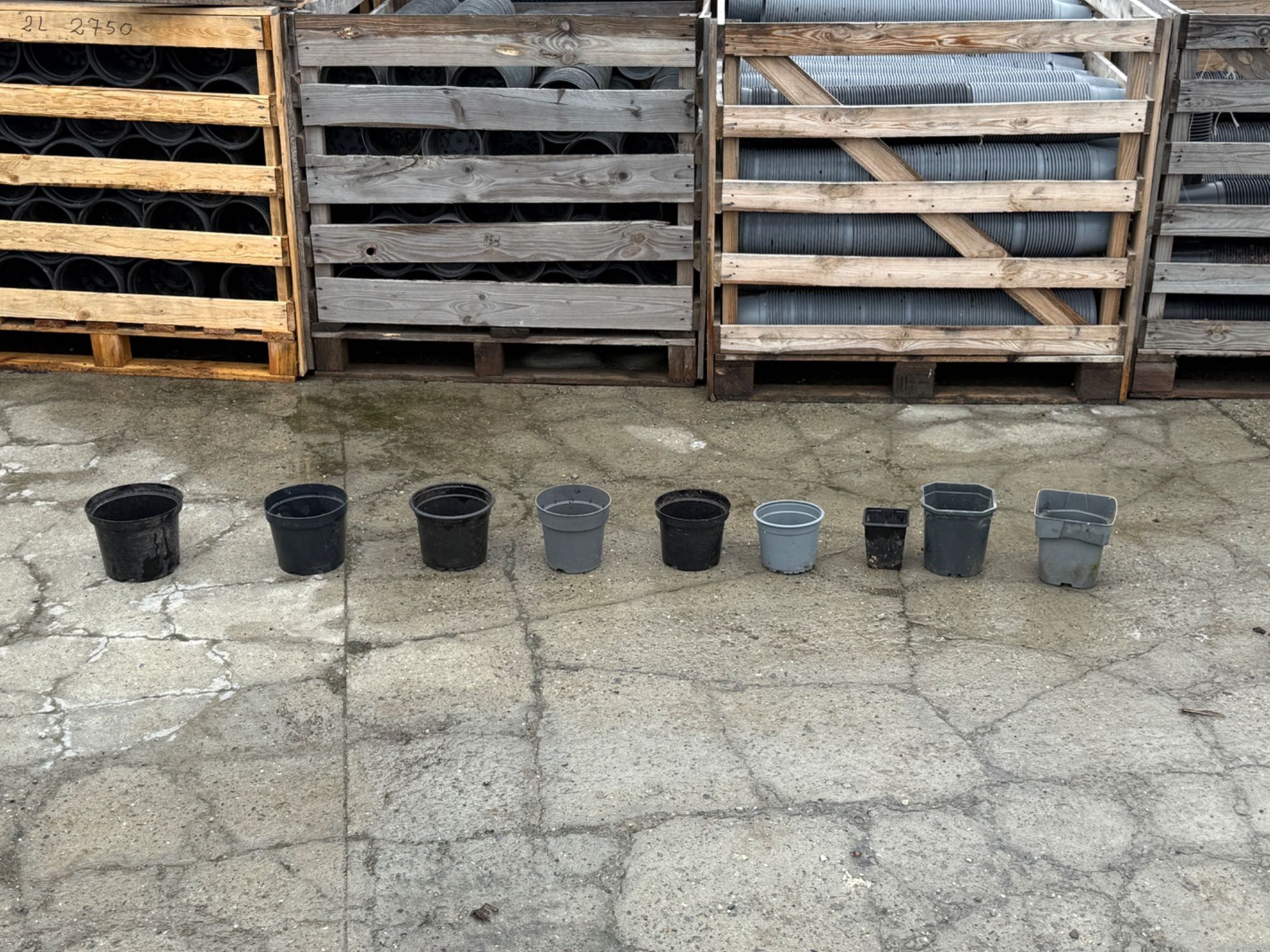 Doniczki produkcyjne p9 / p11 / c1 / c1,5 / c2 / c2,5 / duże ilości
