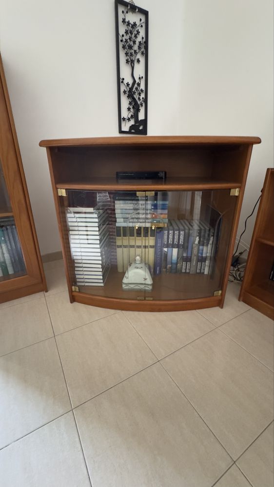 Movel TV em Cerejeira