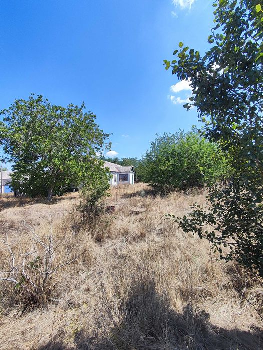 Продам  дом участок Зоряне Перше травня Любимовка река Днепр