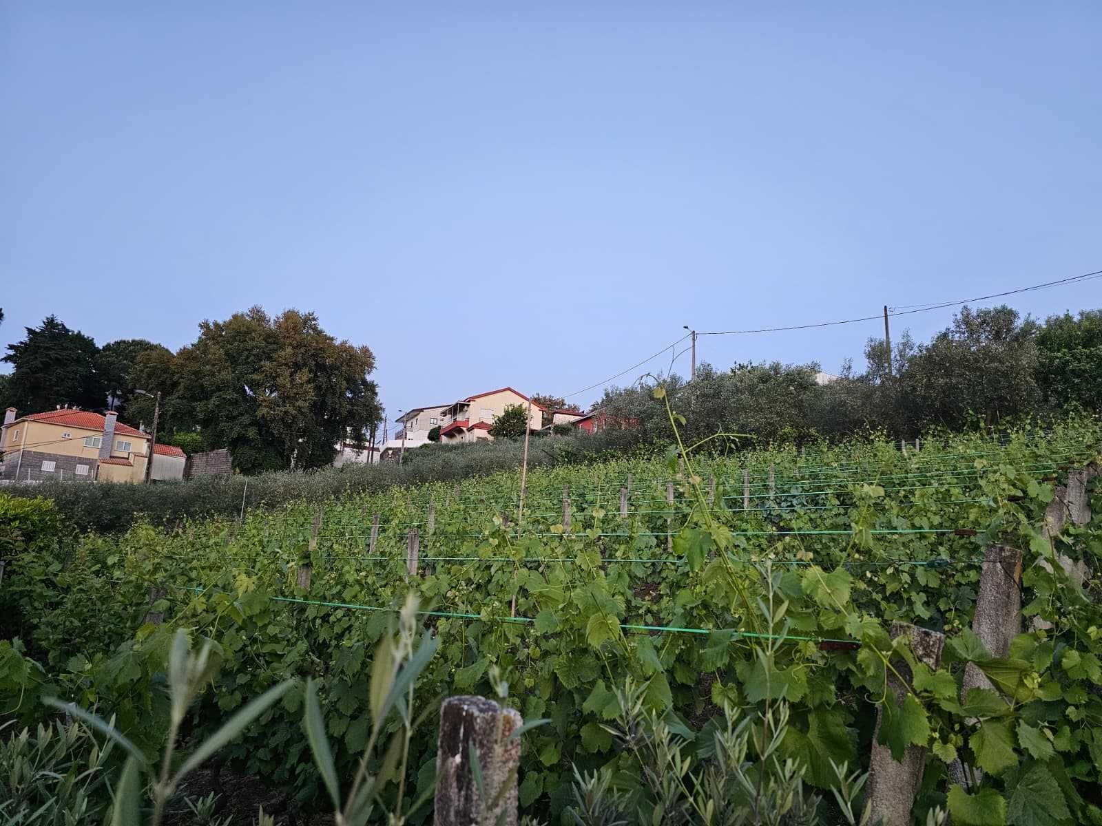 Terreno 1400 m² em Frende, com viabilidade de construção