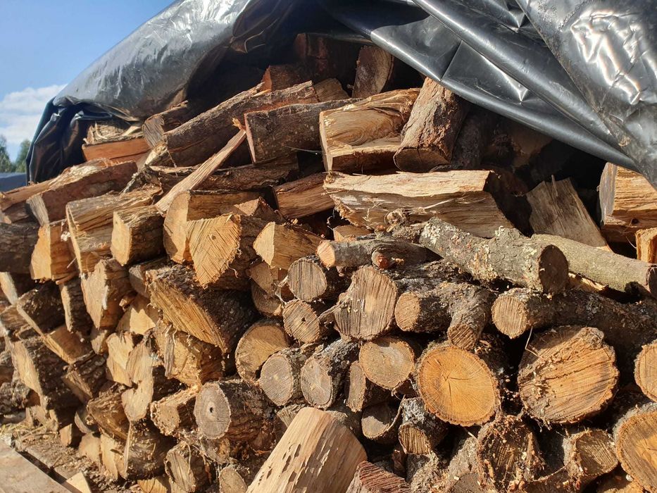 Lenha Seca para Lareira / Firewood