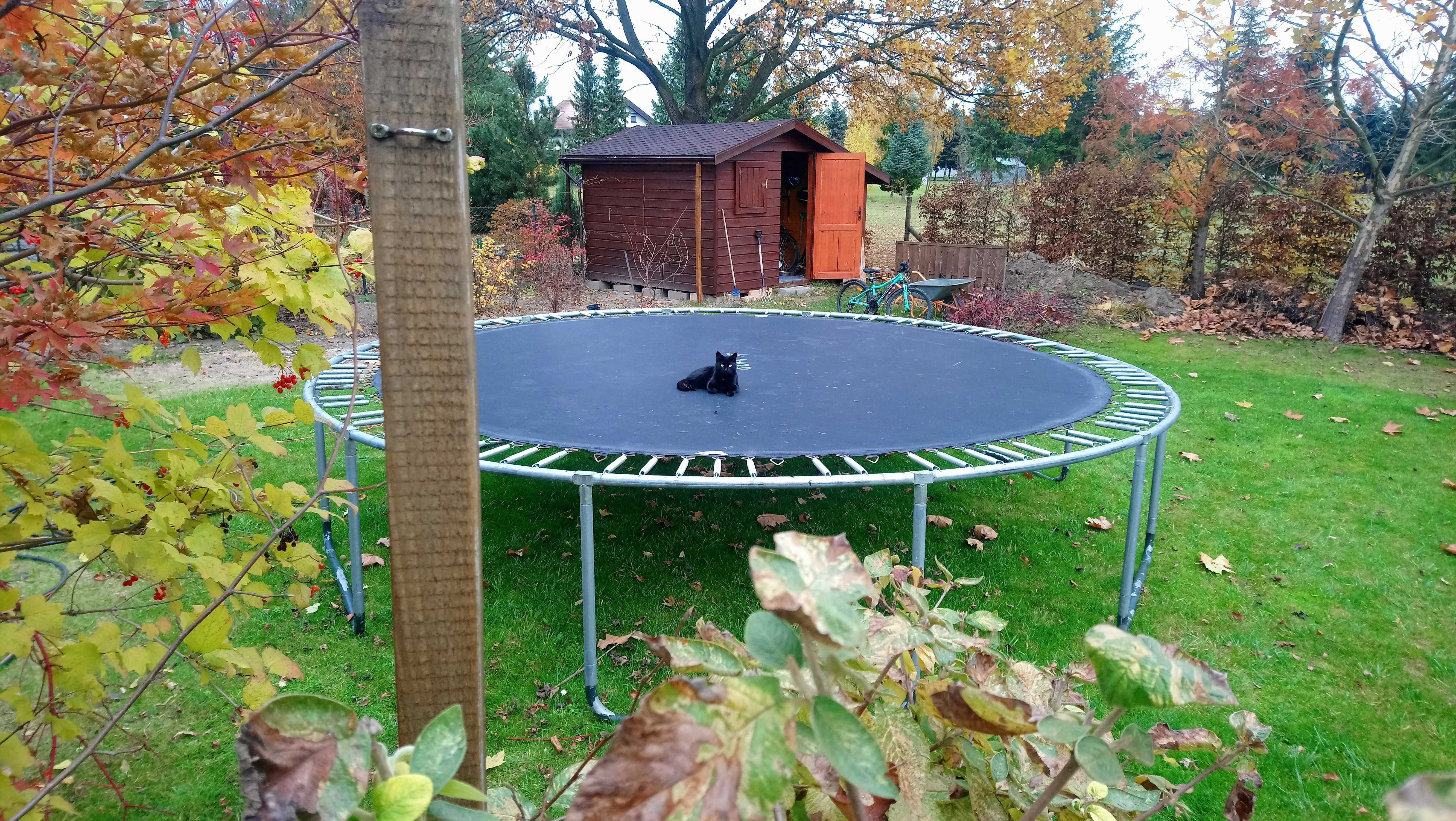 trampolina + siatka zabezpieczająca - Gofit 457