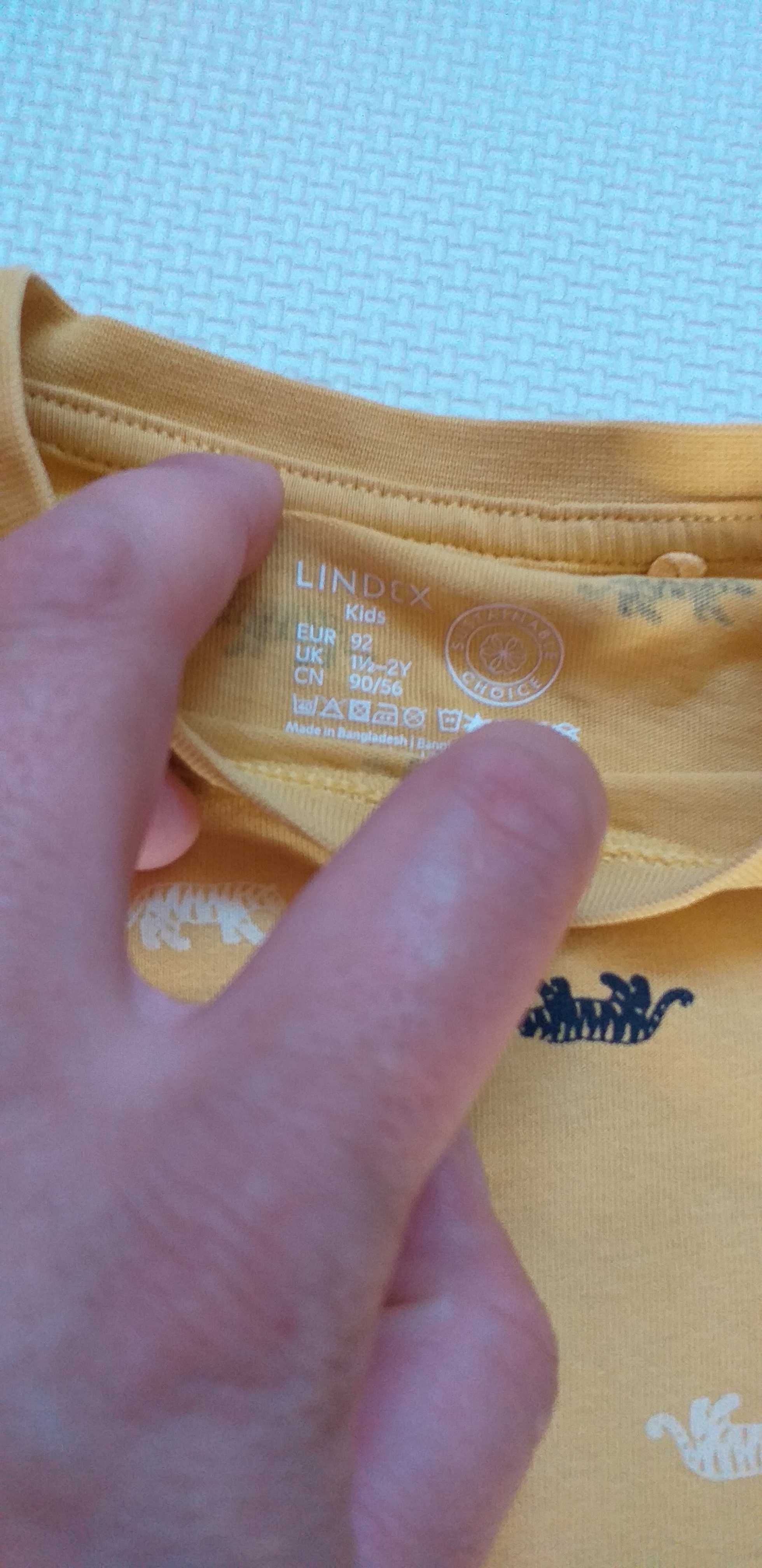 Komplet Lindex na lato krótkie spodenki i t-shirt w tygrysy 86-92