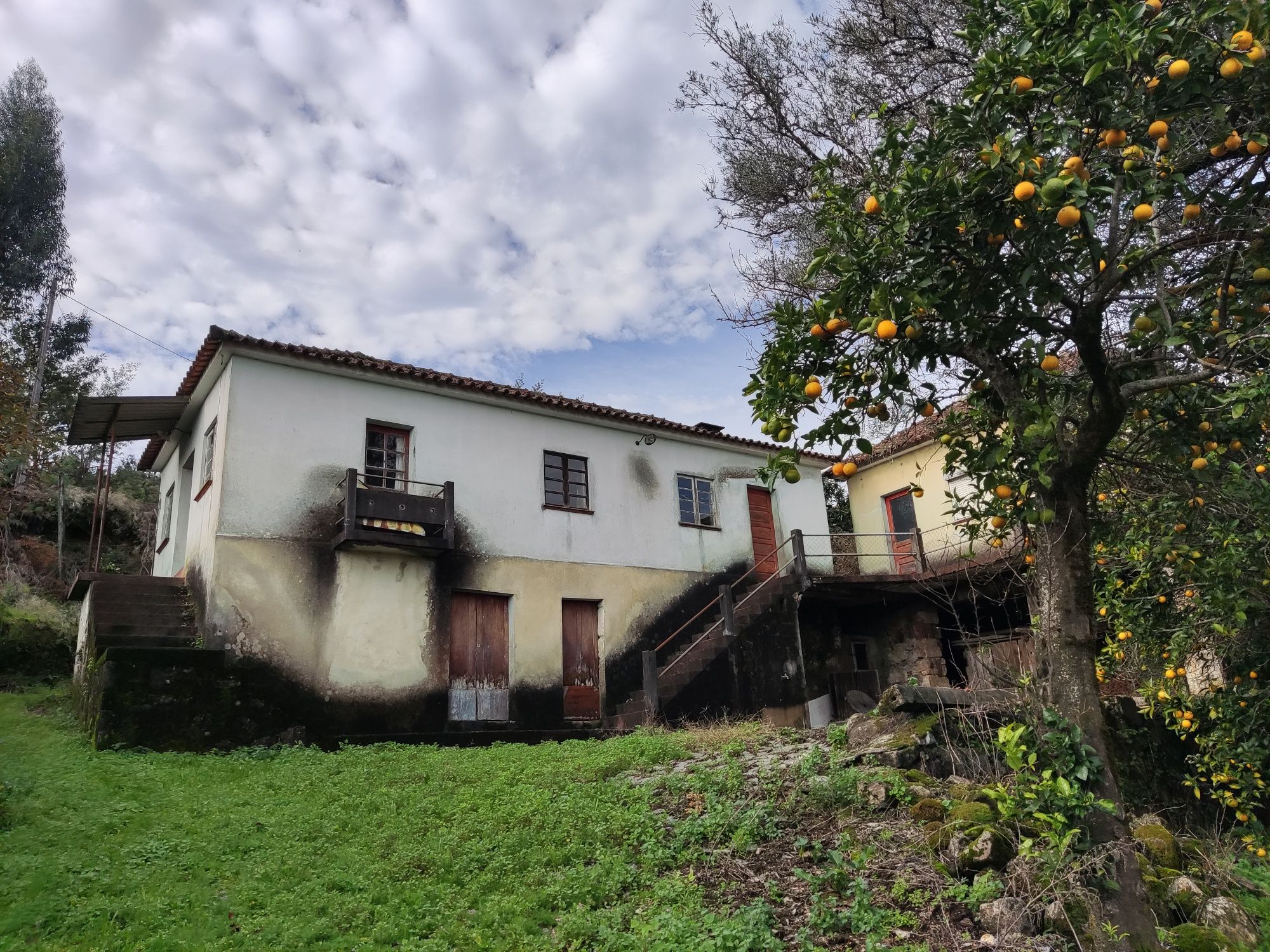 Terreno/quinta com 6000 metros quadrados de área