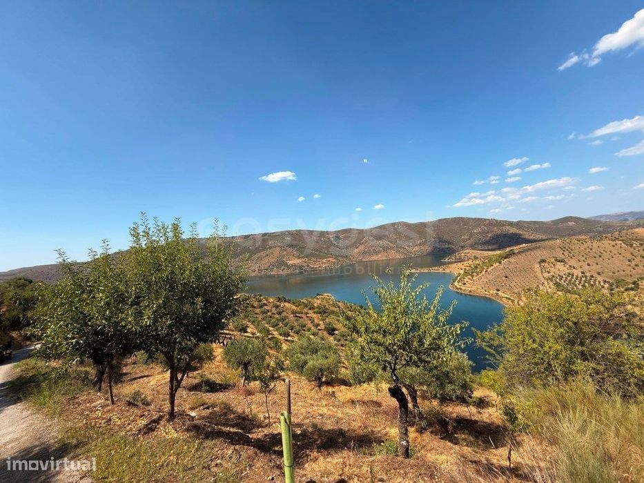Terreno Agrícola com Oliveiras e Amendoeiras - Vista Deslumbrante p...