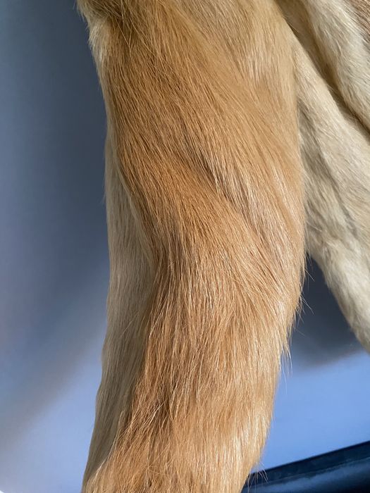 Futerko z lisa w bardzo dobrym stanie