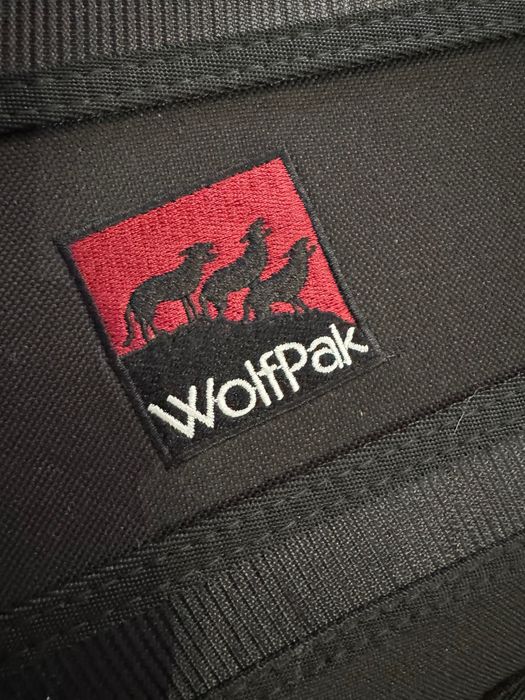 Violão Fender eletro-acustico com Wolf Case