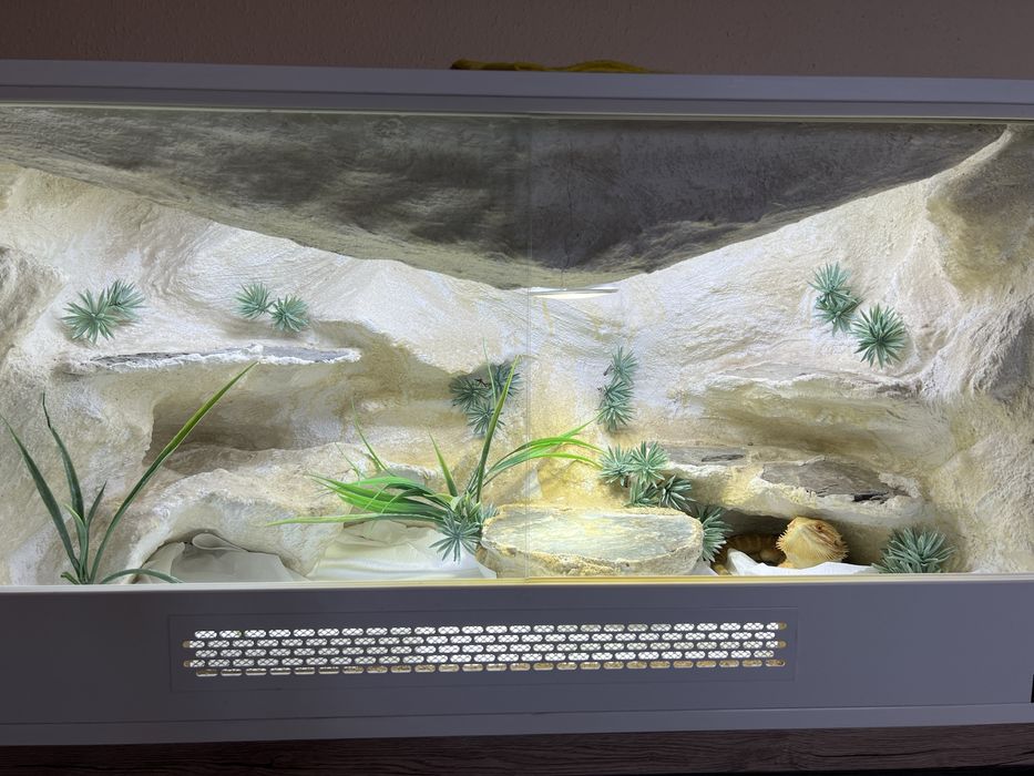 Sprzedam terrarium