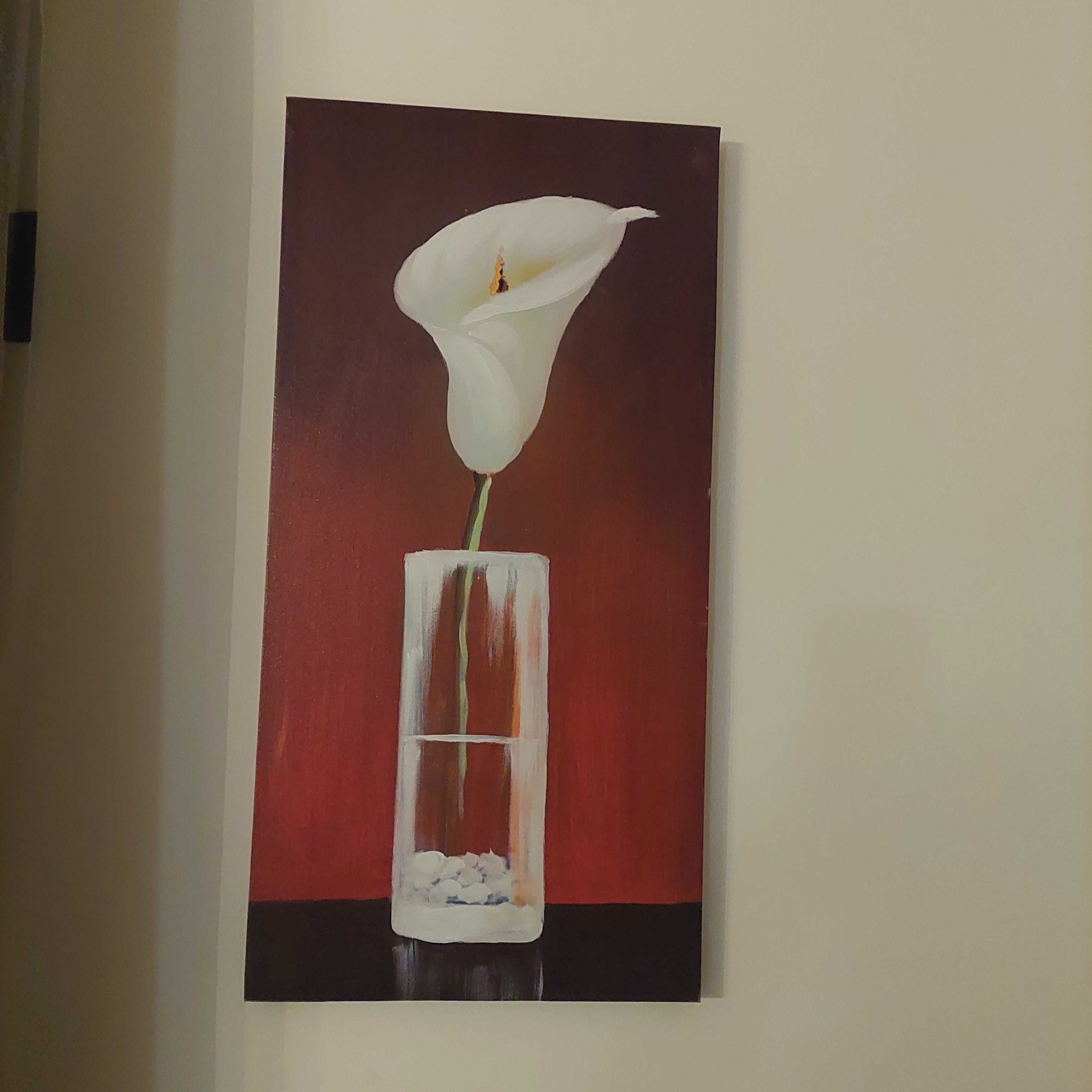 Quadro e telas em muito bom estado. Ver as 5 fotos.