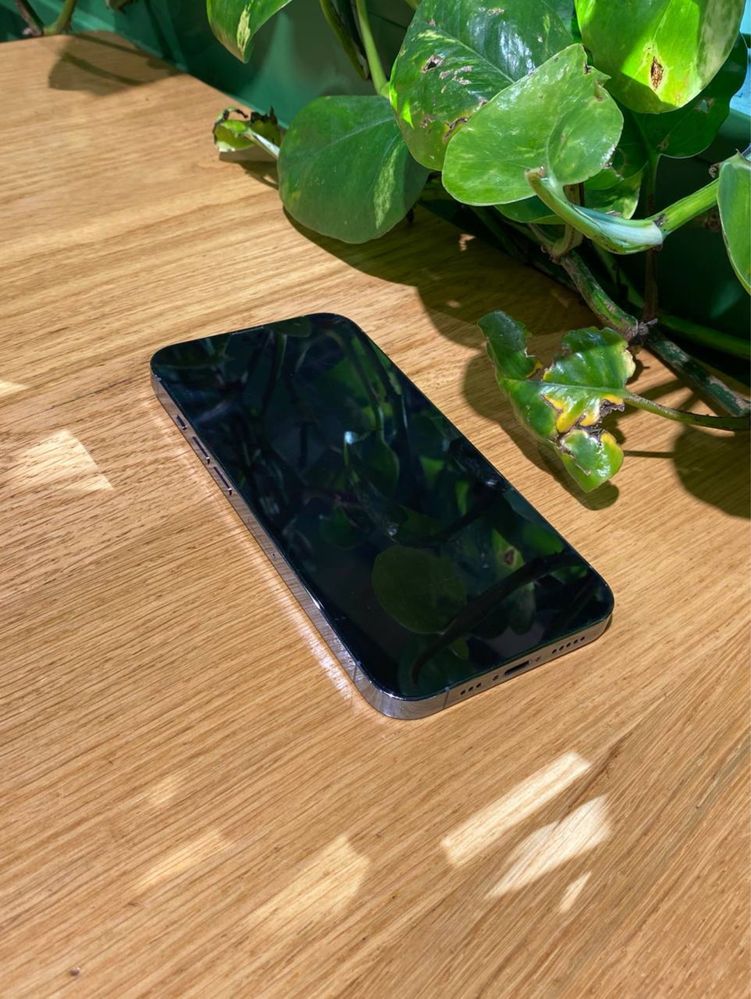 Apple iPhone 13 pro