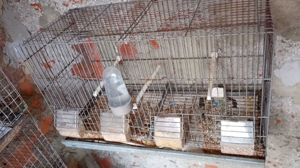 Viveiro com acessórios